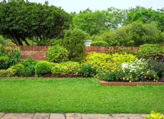 landscaping services Mount Vernon